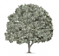 iStock money-tree